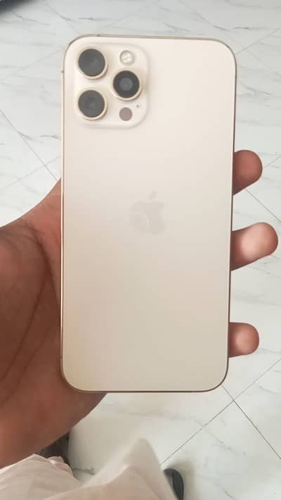 Apple iPhone 12 Pro Max