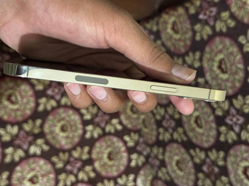 Apple iPhone 12 Pro 3