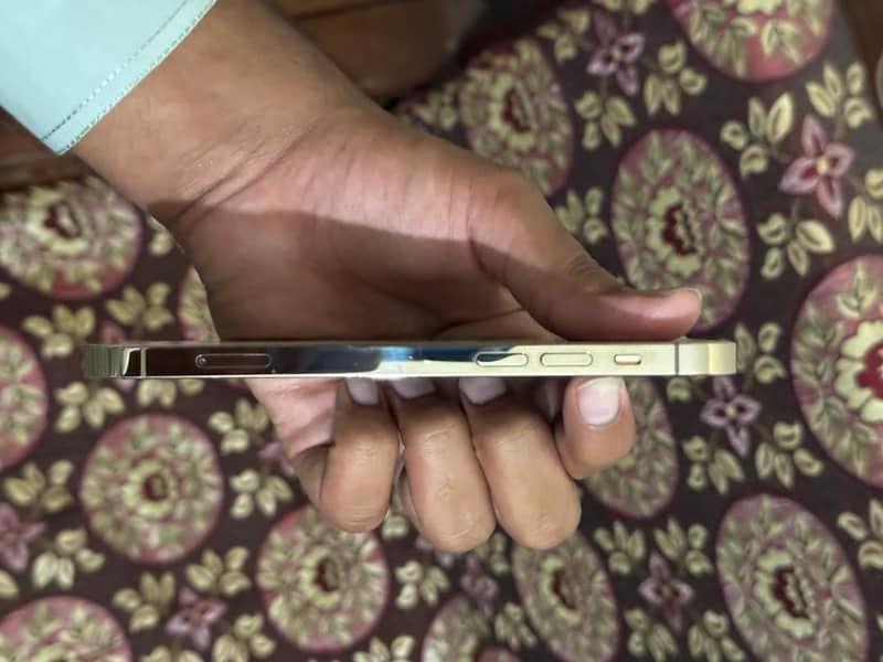 Apple iPhone 12 Pro 4