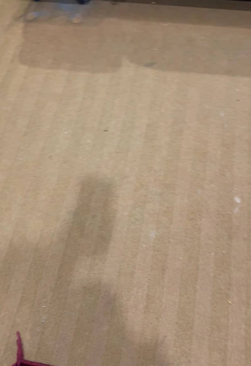 2 Carpets 1