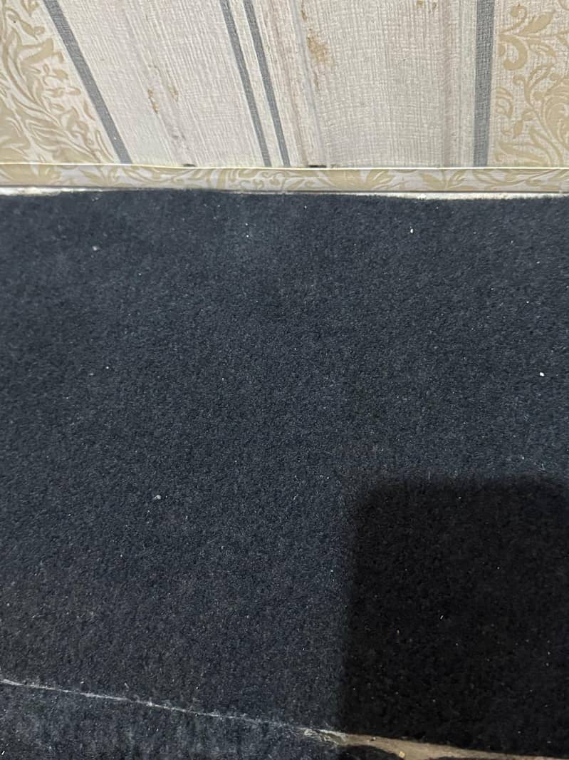 2 Carpets 2