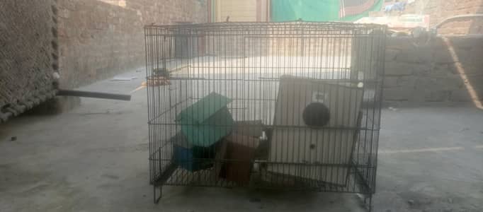 birds cage