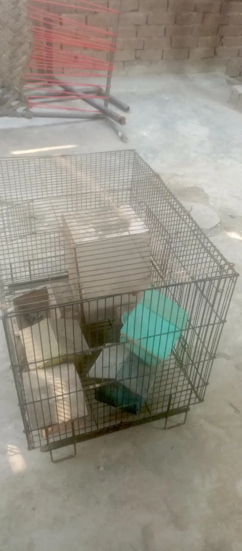 birds cage — photo 2