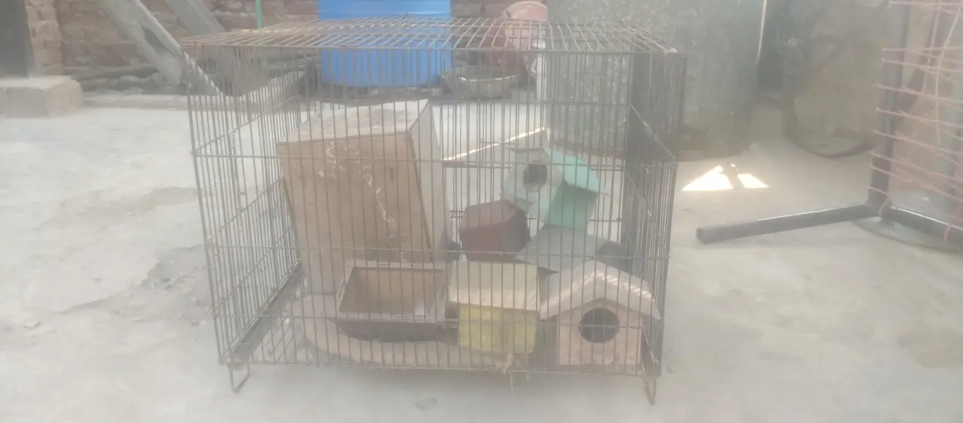 birds cage — photo 4