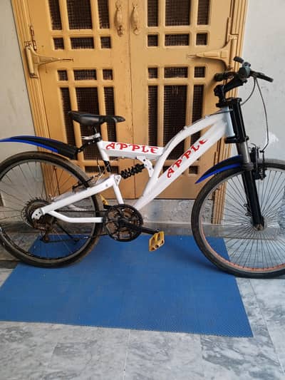 Cycle in H13 Islamabad