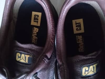 CAT shoes for sale
