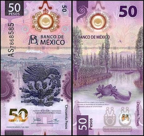 MOST UNIQUE CURRENCY NOTES 18