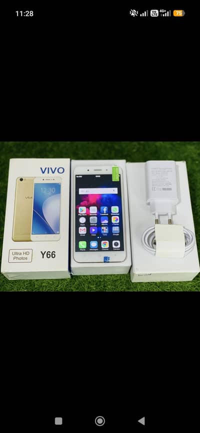 Vivo Y66 4GB Ram Rom 64GB Condition 10 10 Final Price 11500