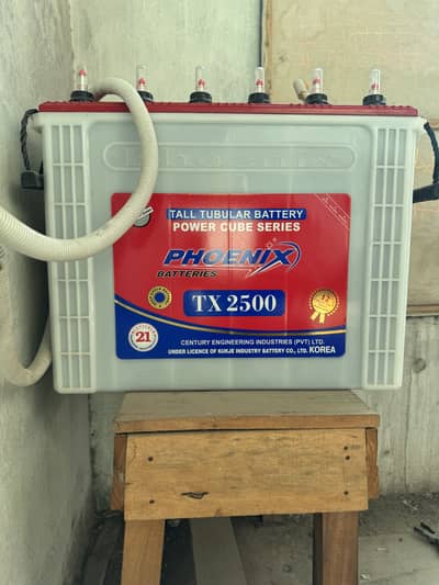 Two Phoenix Tx2500 Tall tubular 230Ah | 24v set | Good Backup