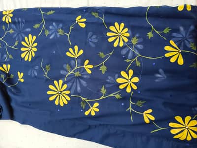 Hand painted Georgette Dupatta (3meter long)