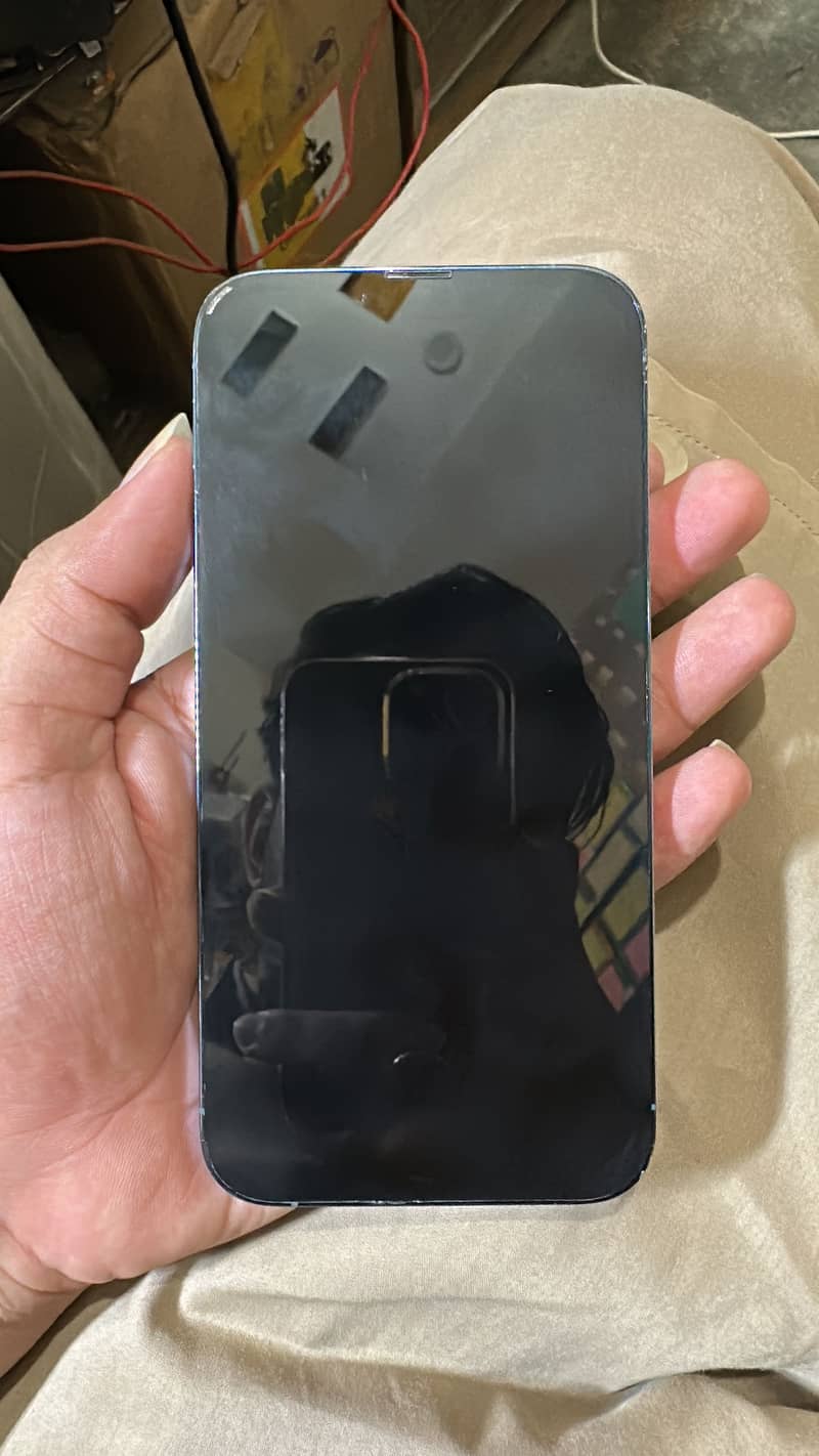 Apple iPhone 13 Pro Max 0