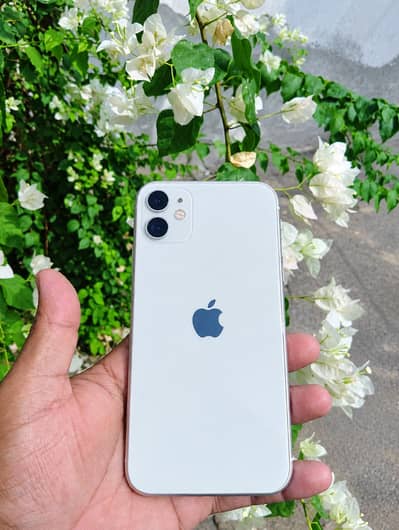 Apple iPhone 11