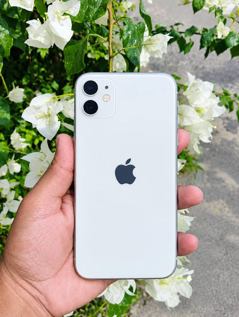 Apple iPhone 11 1