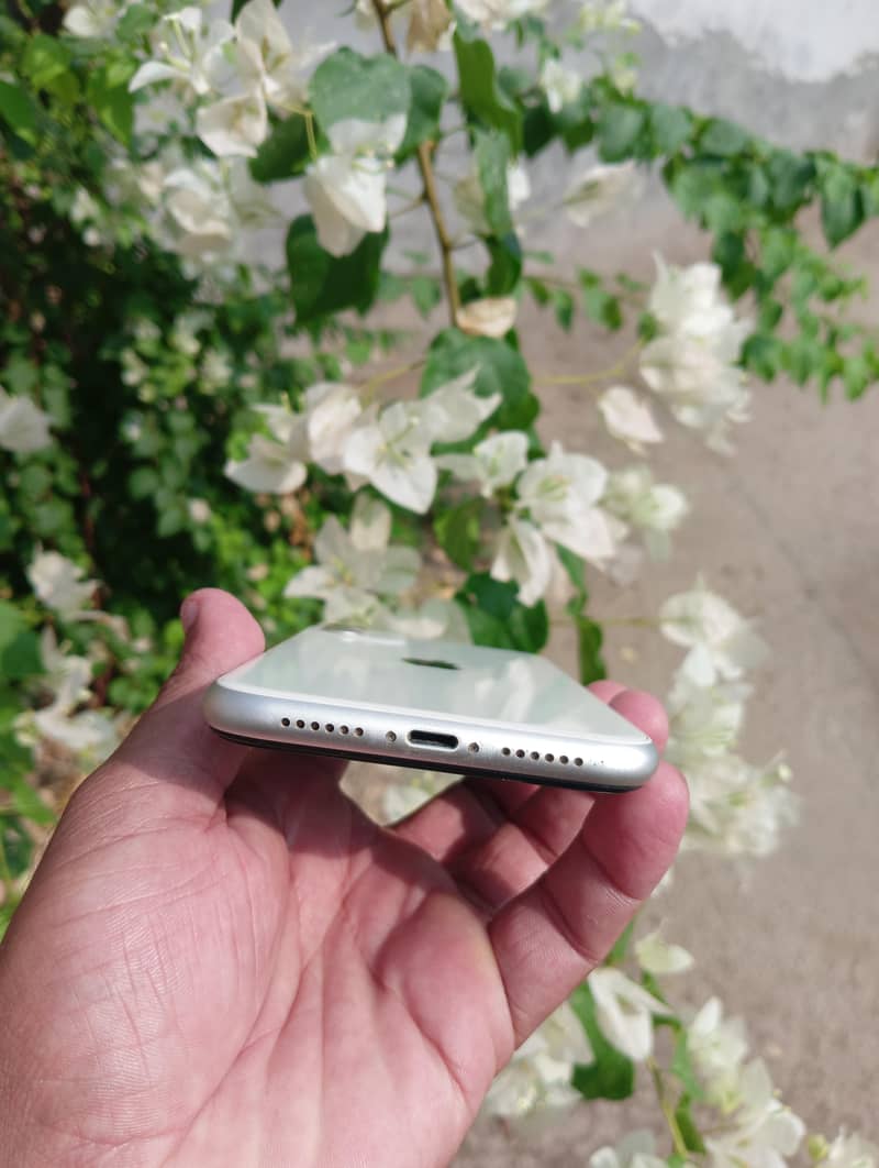 Apple iPhone 11 4
