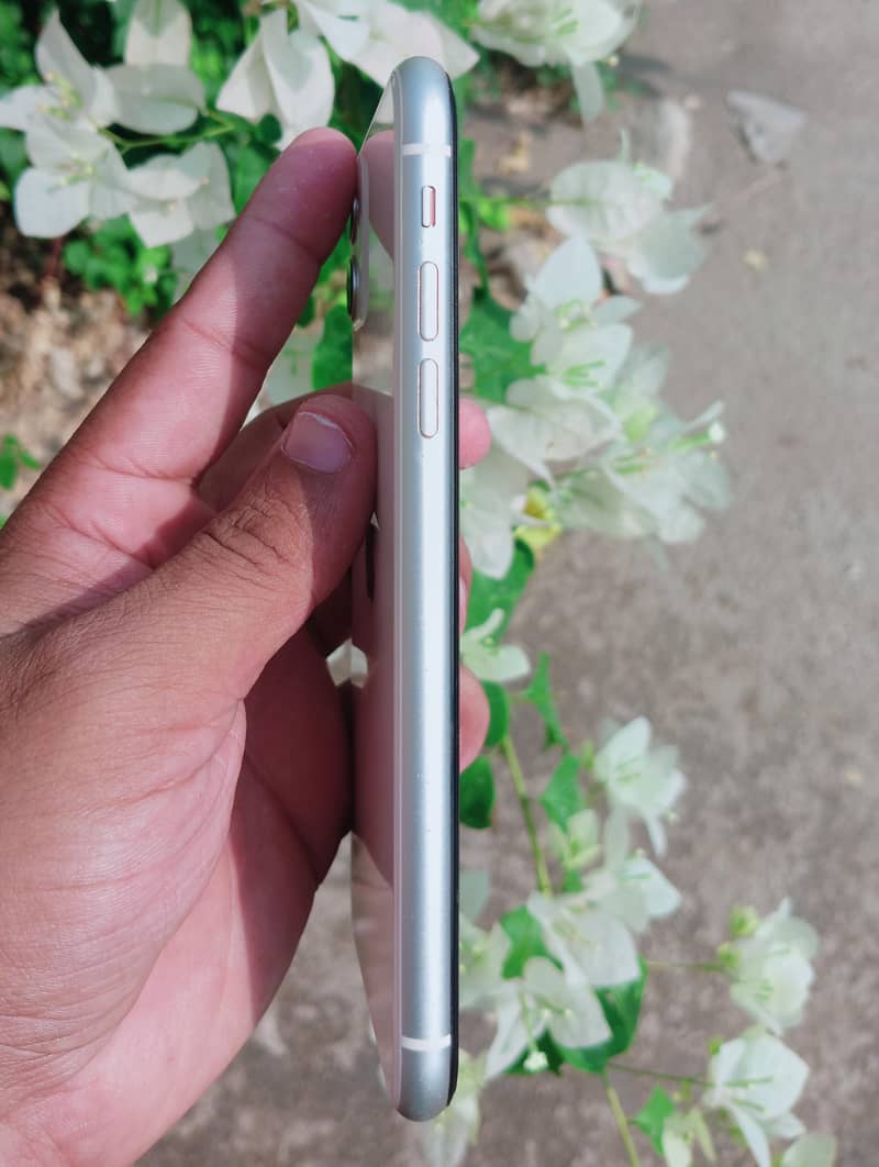 Apple iPhone 11 5