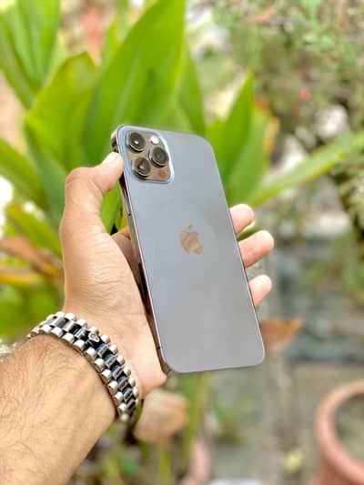 Apple iPhone 12 Pro Max WATERPACK