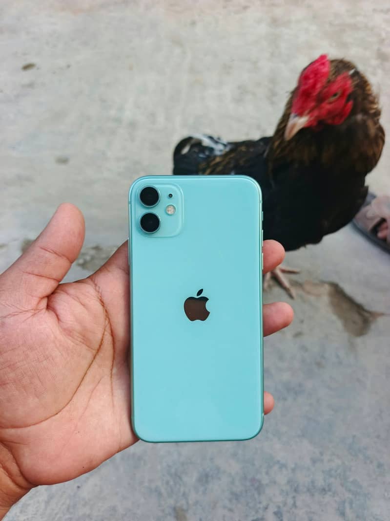 Apple iPhone 11 2