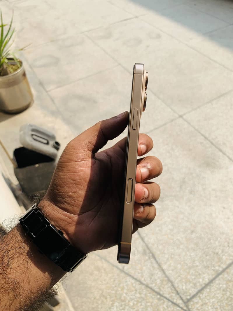 Apple iPhone 16 Pro Max 1