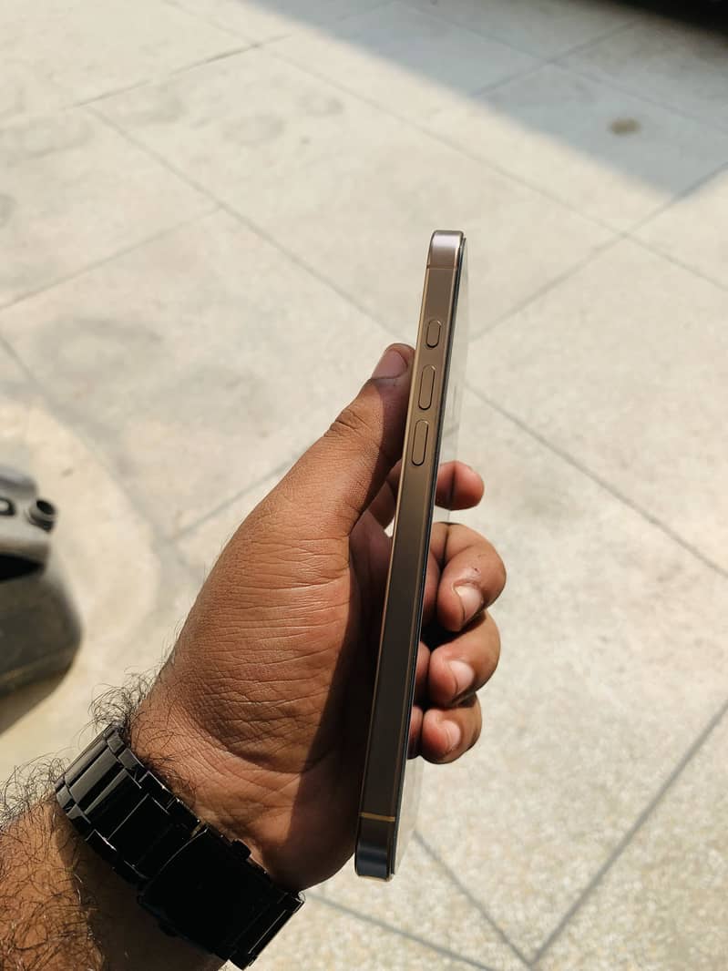 Apple iPhone 16 Pro Max 4