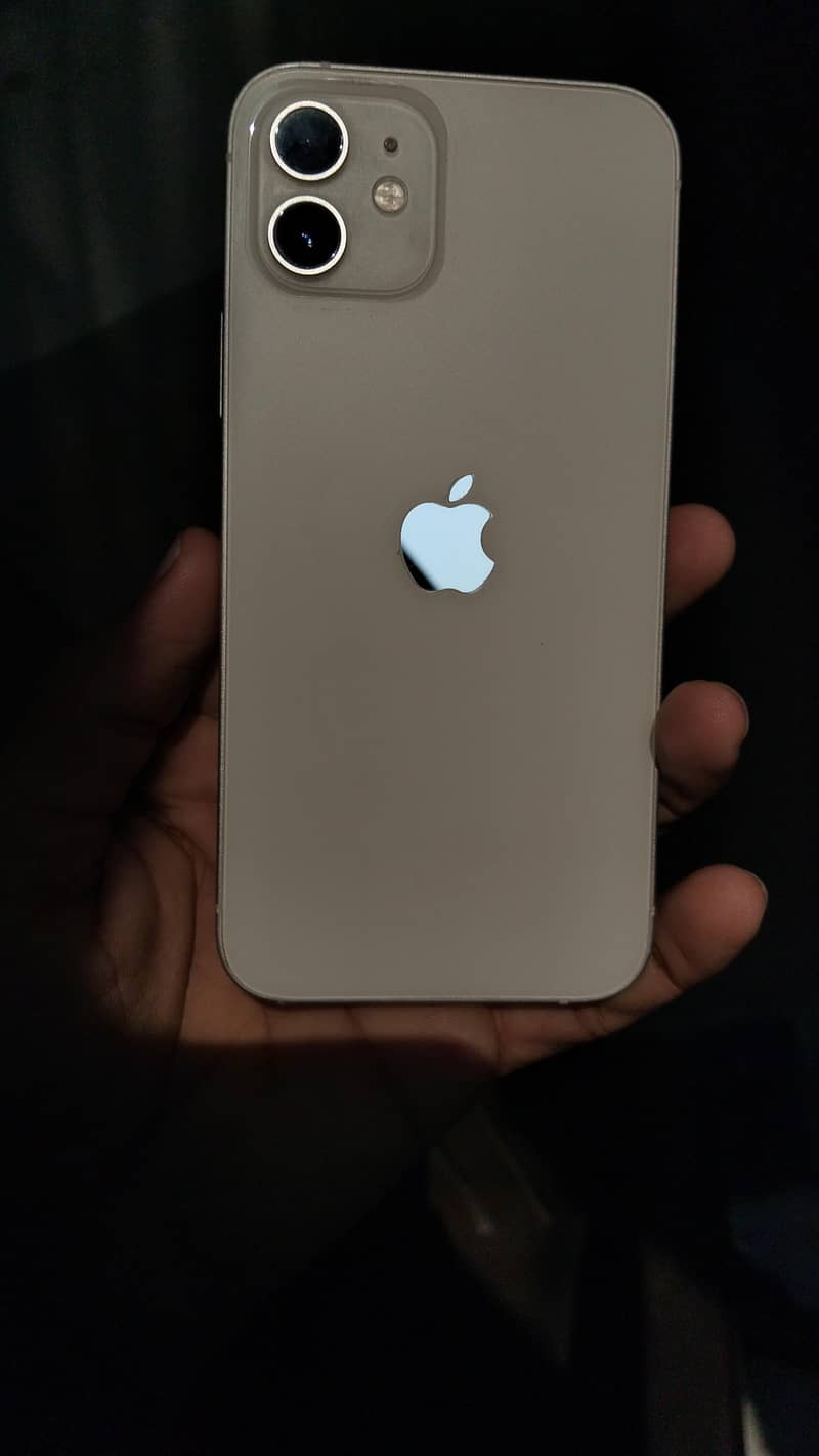 Apple iPhone 12 1