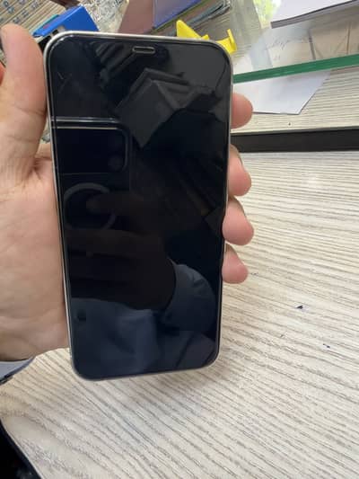 Apple iPhone 12 Pro Max