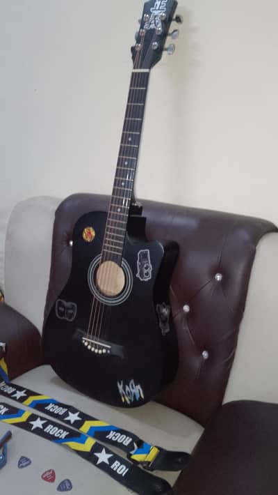 beginners guitar with picks capo and bag