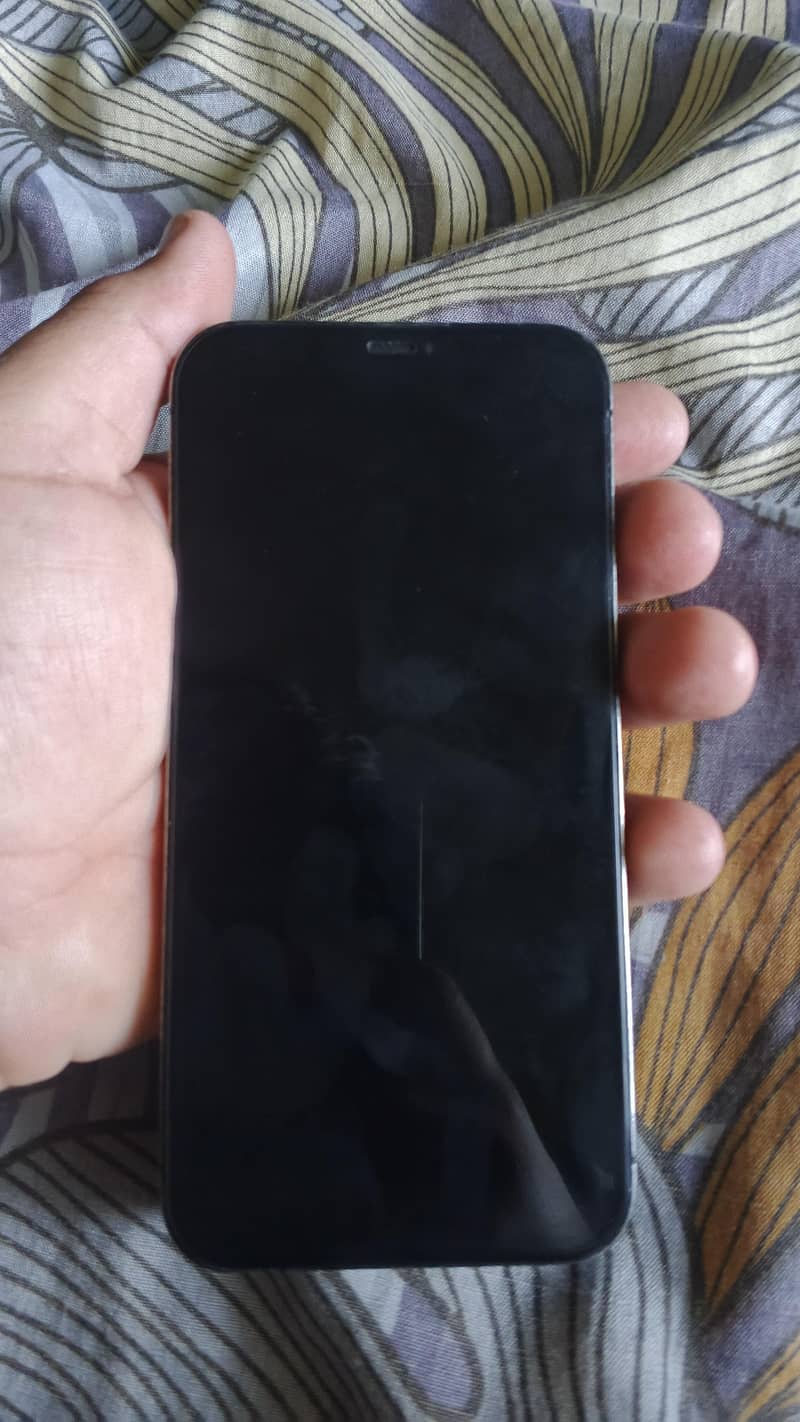 Apple iPhone 12 Pro Max 1
