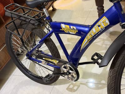 Mountain bicycle