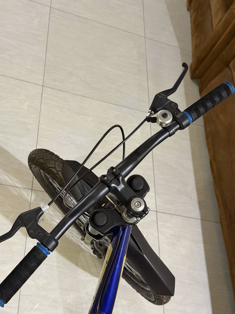 Mountain bicycle 1