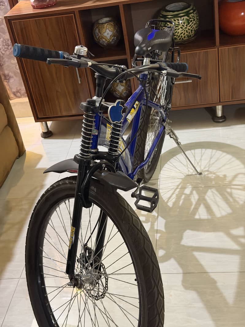 Mountain bicycle 8