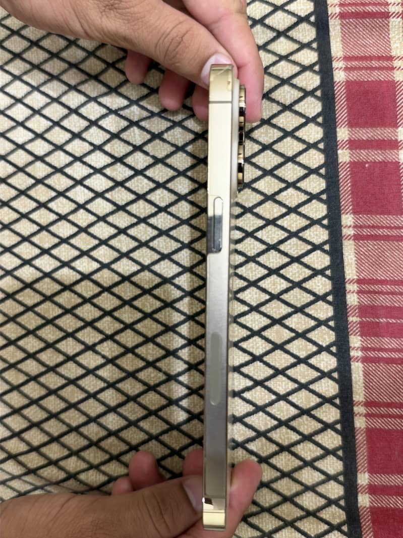Apple iPhone 16 Pro Max 2