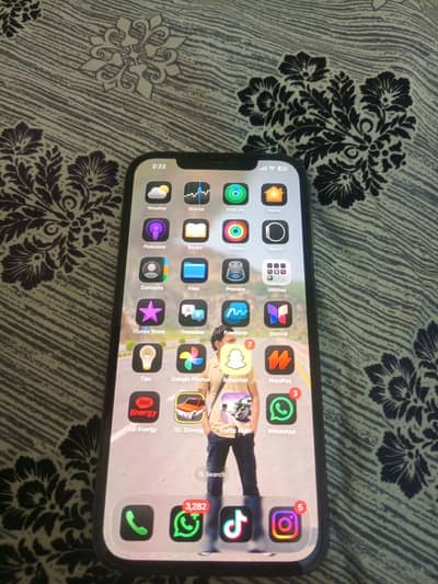 Apple iPhone 12 Pro Max