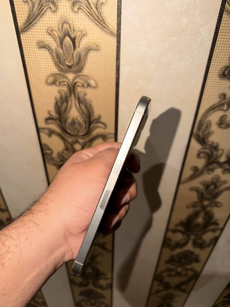 Apple iPhone 16 Pro Max 2