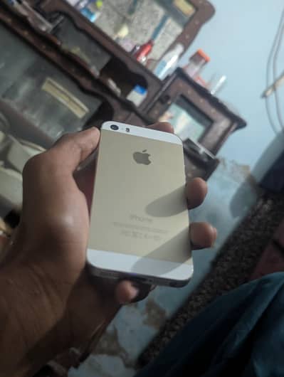 Apple iPhone 5s