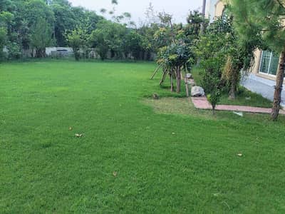 2 Kanal Luxury House for Rent