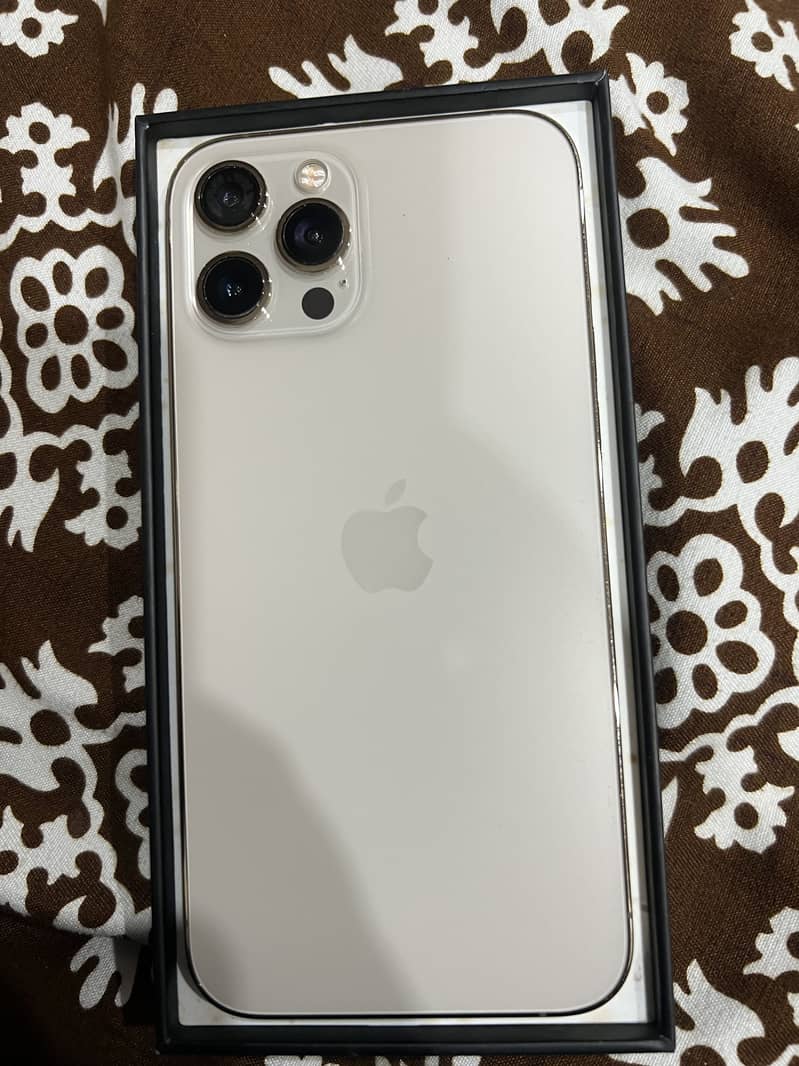 Apple iPhone 12 Pro Max 1