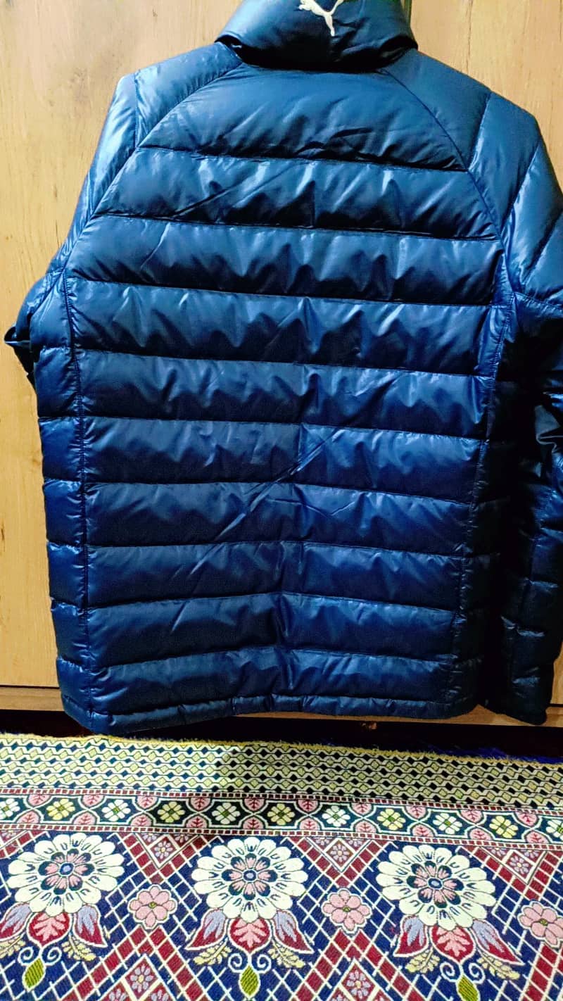 jacket 1