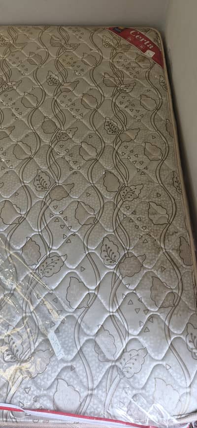 master | molty | foam | mattress | spring