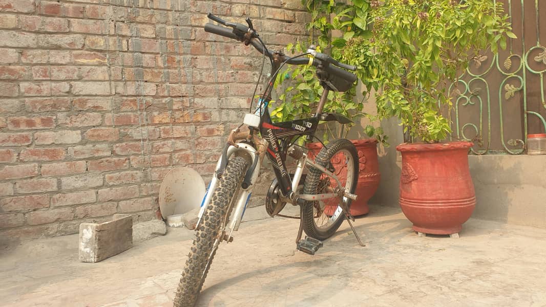 Kid Rider 0
