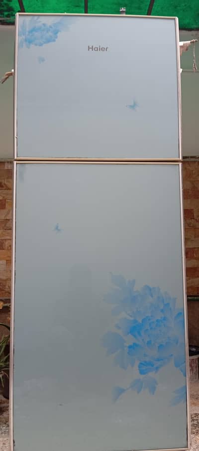 Haier refrigerator and freezer