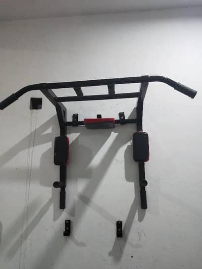2 in 1 wall mounted pull up bar