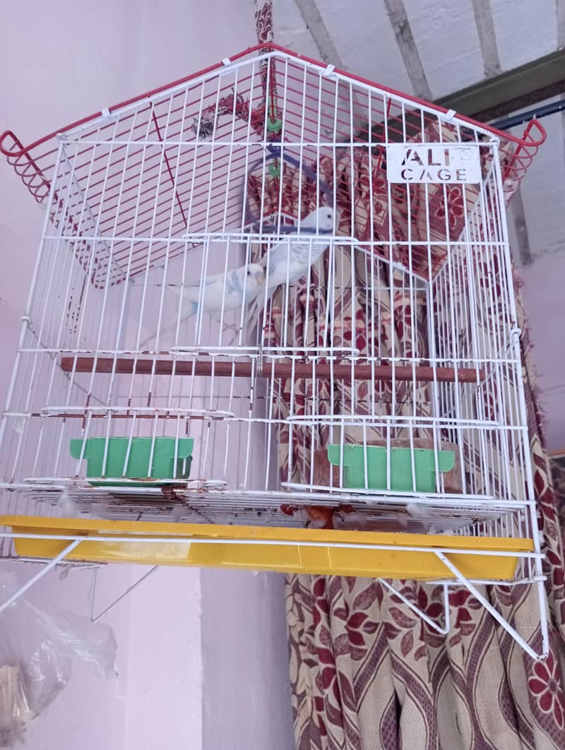 thk hai 1