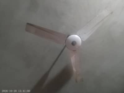 Fan Cooper me