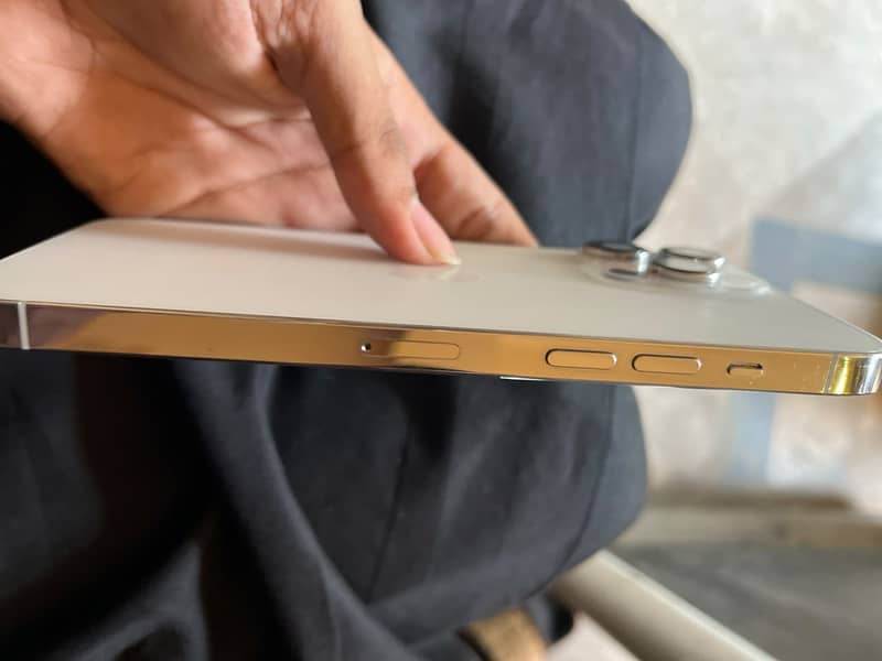 Apple iPhone 14 Pro Max 1