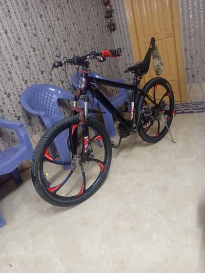 Bicycle in lush condition