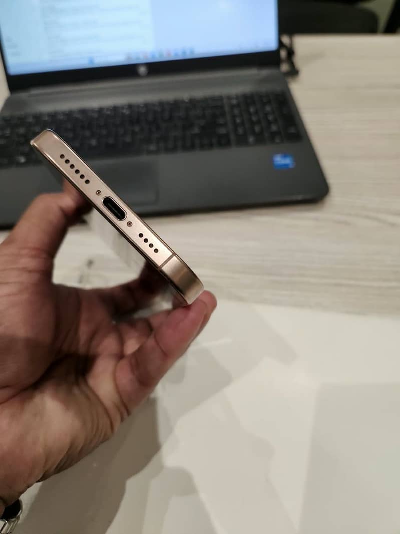 Apple iPhone 16 Pro Max 1