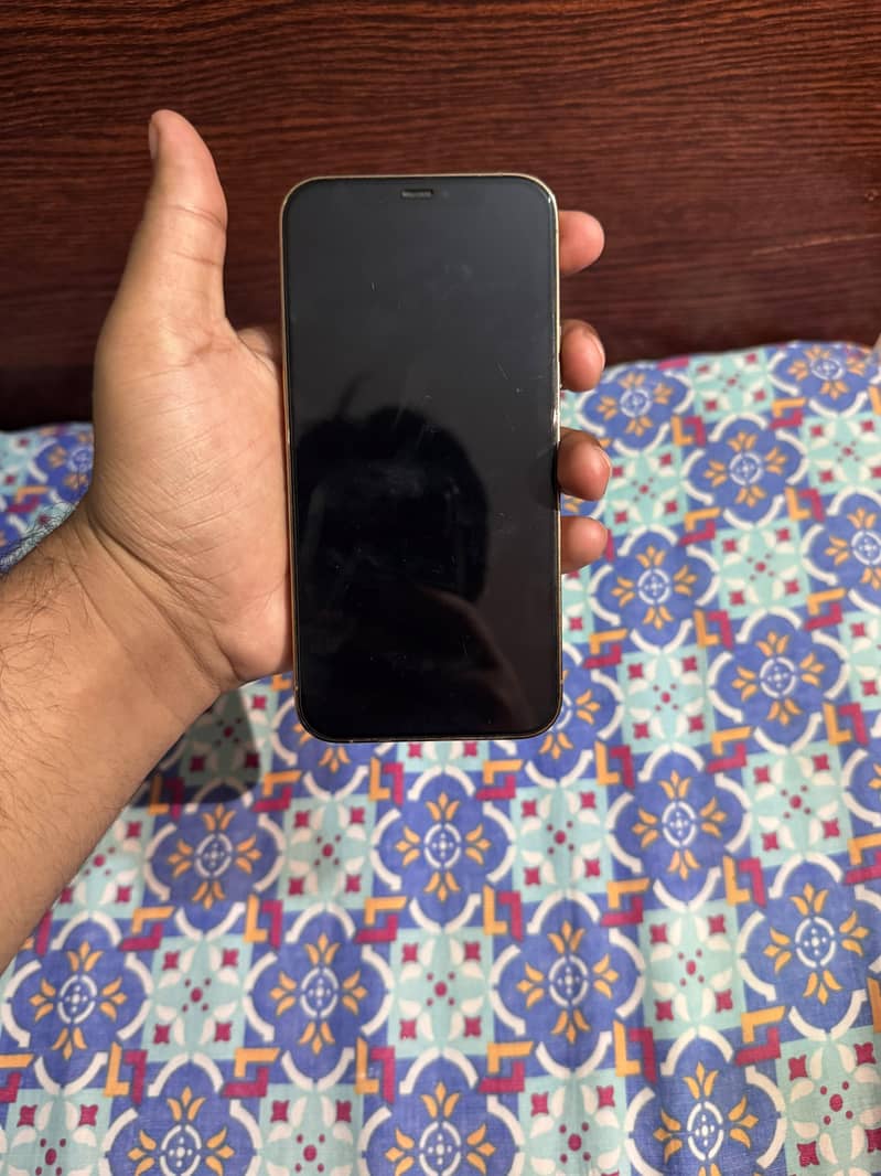 Apple iPhone 15 Pro Max 10