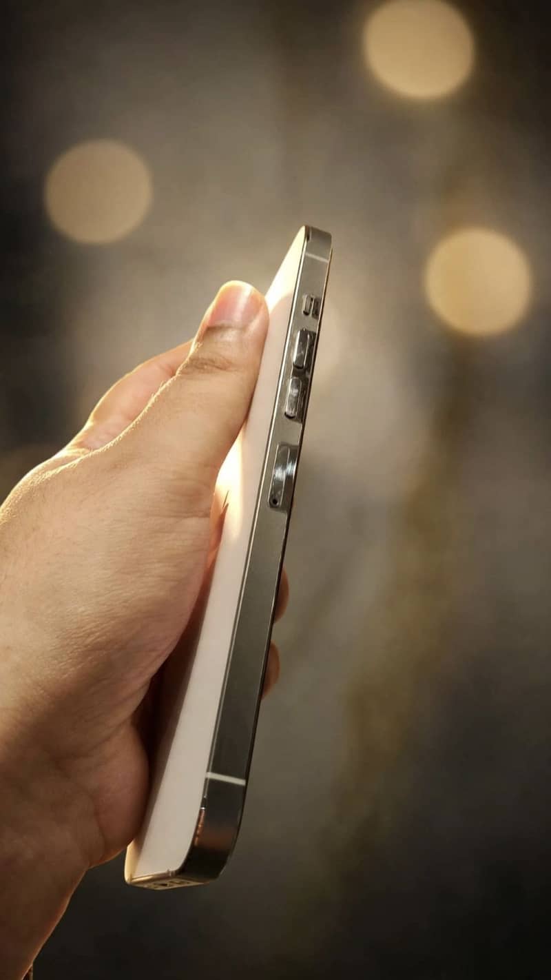 Apple iPhone 13 Pro Max 2