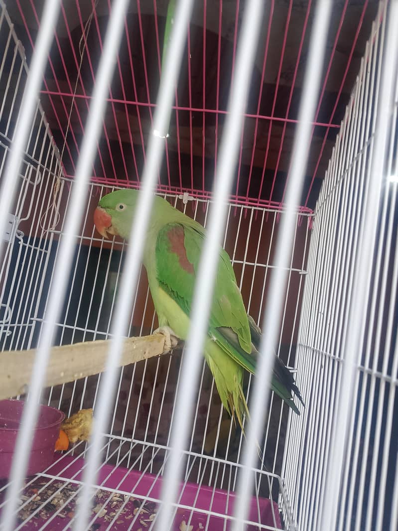 busy area 4