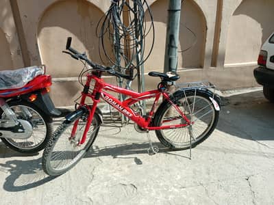 Roman 26-Inch Mountain Bicycle (Geared)